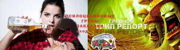 гидропоника Мегион