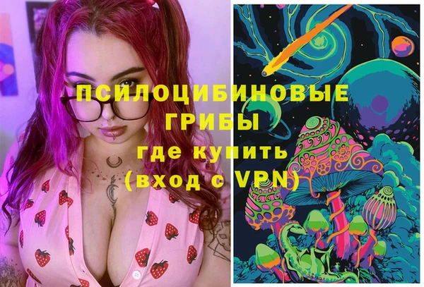 стафф Михайловка