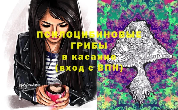 соль ск Аша