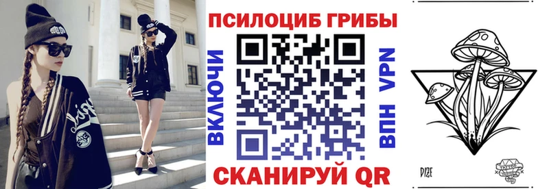 наркота Мензелинск МЕГА как зайти Галлюциногенные грибы мицелий